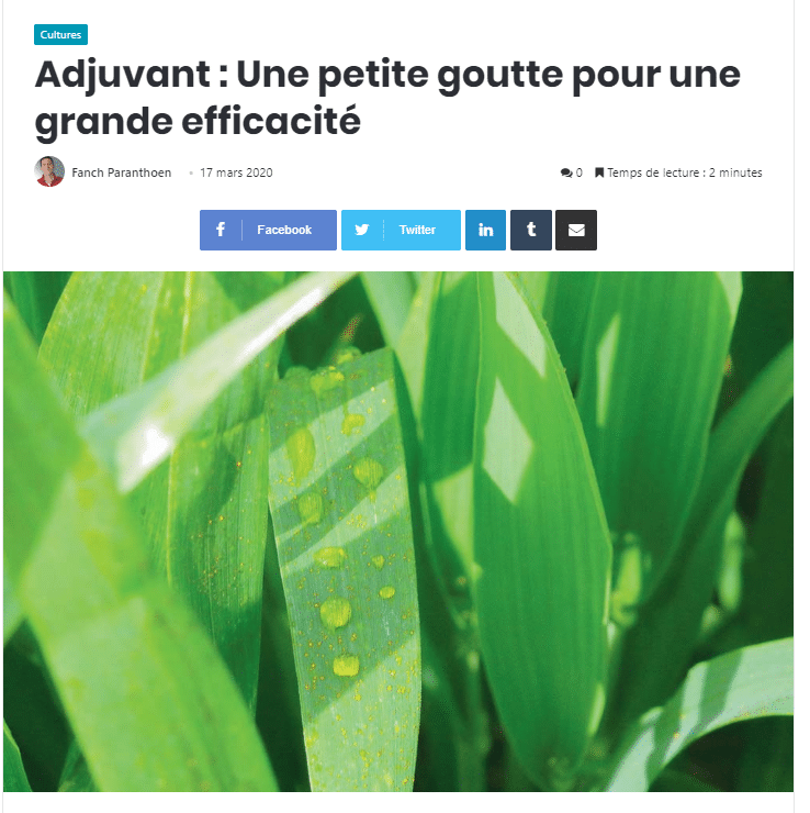 De Sangosse in the press